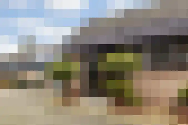 Warande 18 Ede thumbnail 37