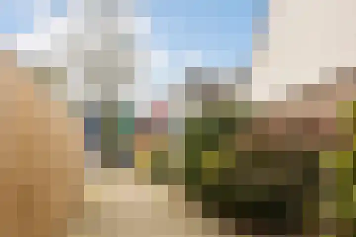 Warande 18 Ede thumbnail 40