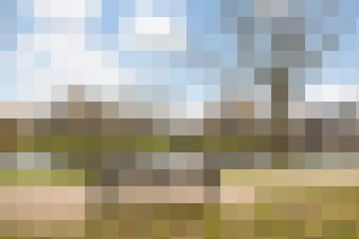 Warande 18 Ede thumbnail 41