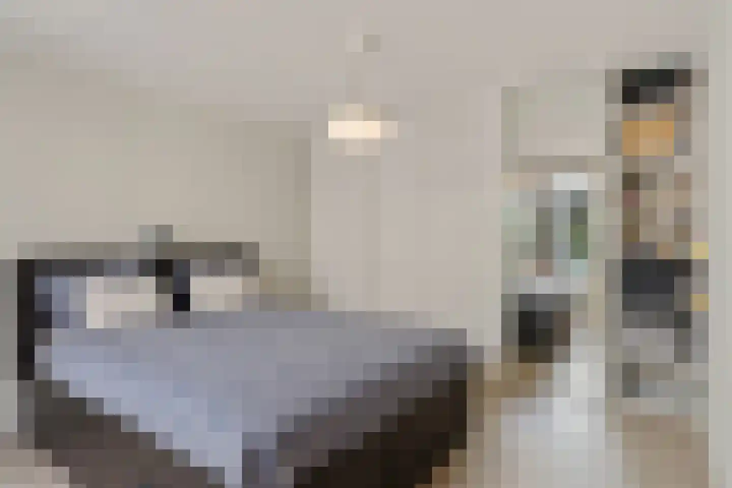 Warande 18 Zoetermeer thumbnail 19