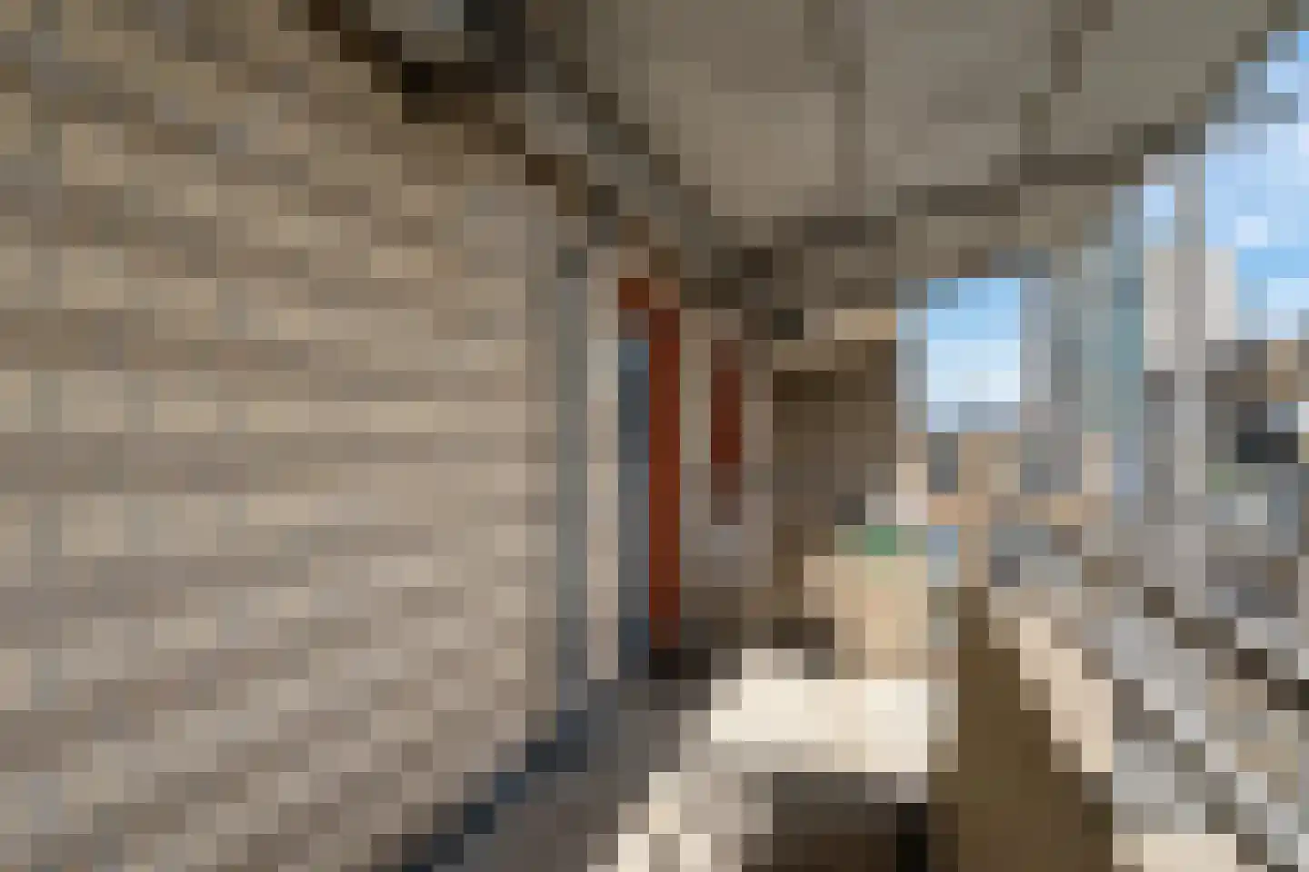Warande 18 Zoetermeer thumbnail 34