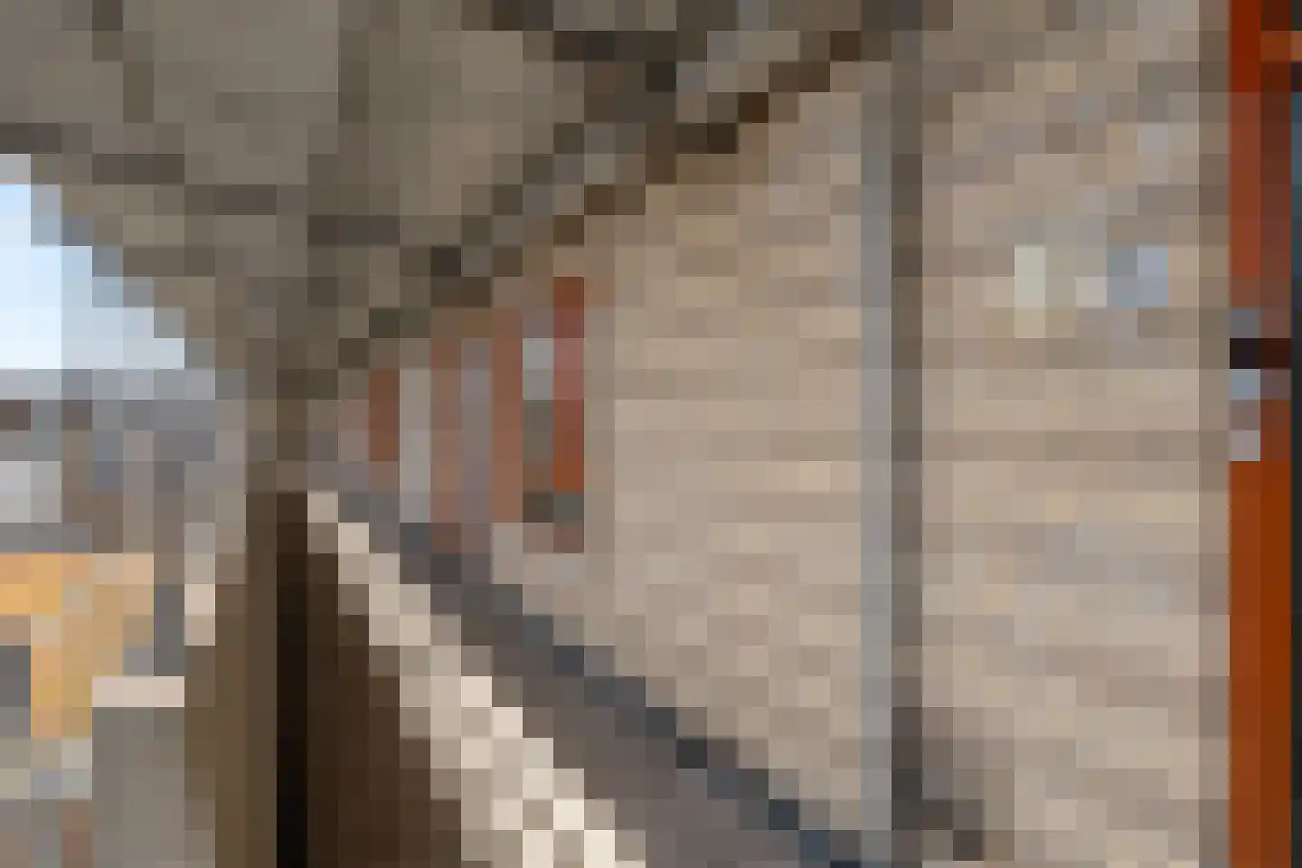 Warande 18 Zoetermeer thumbnail 35