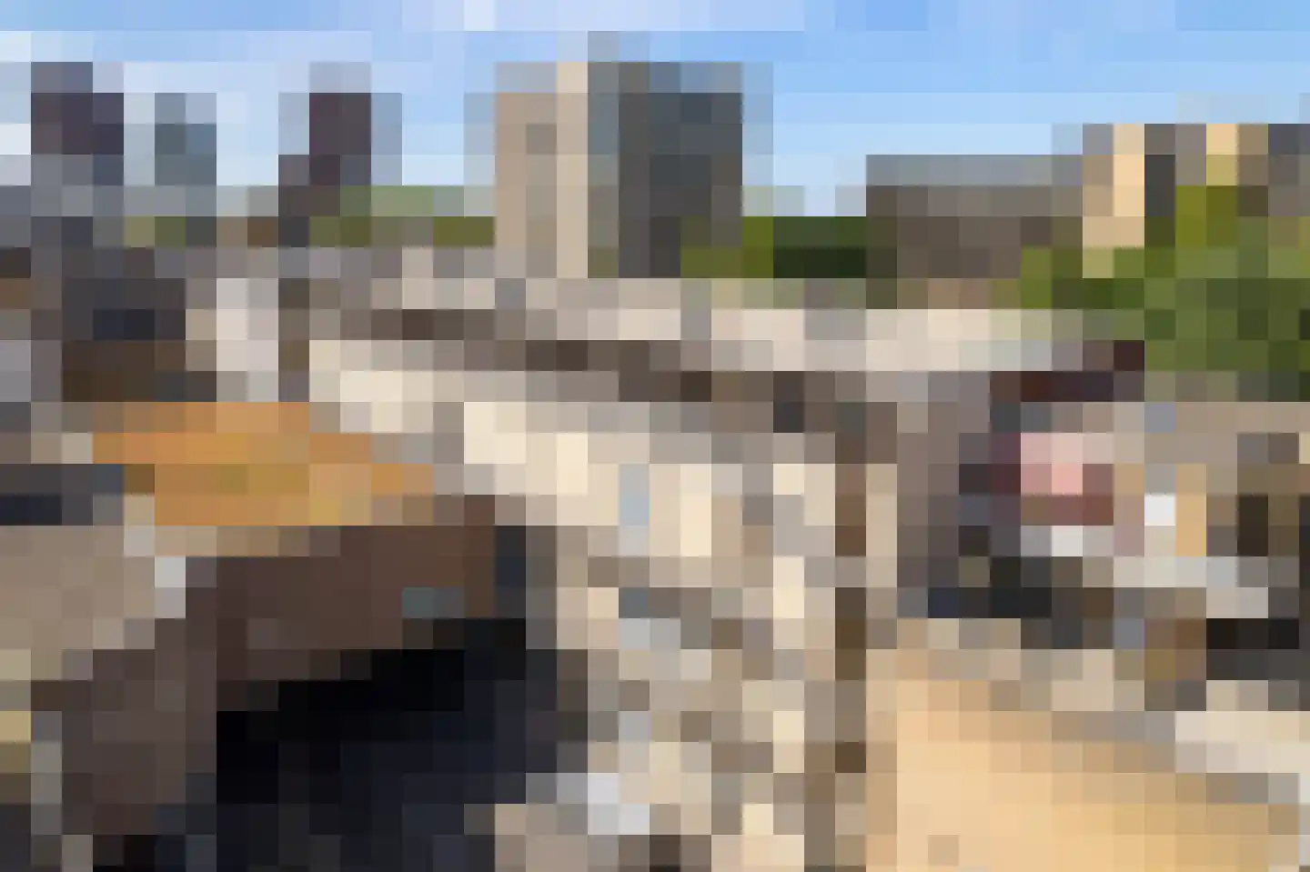 Warande 18 Zoetermeer thumbnail 36