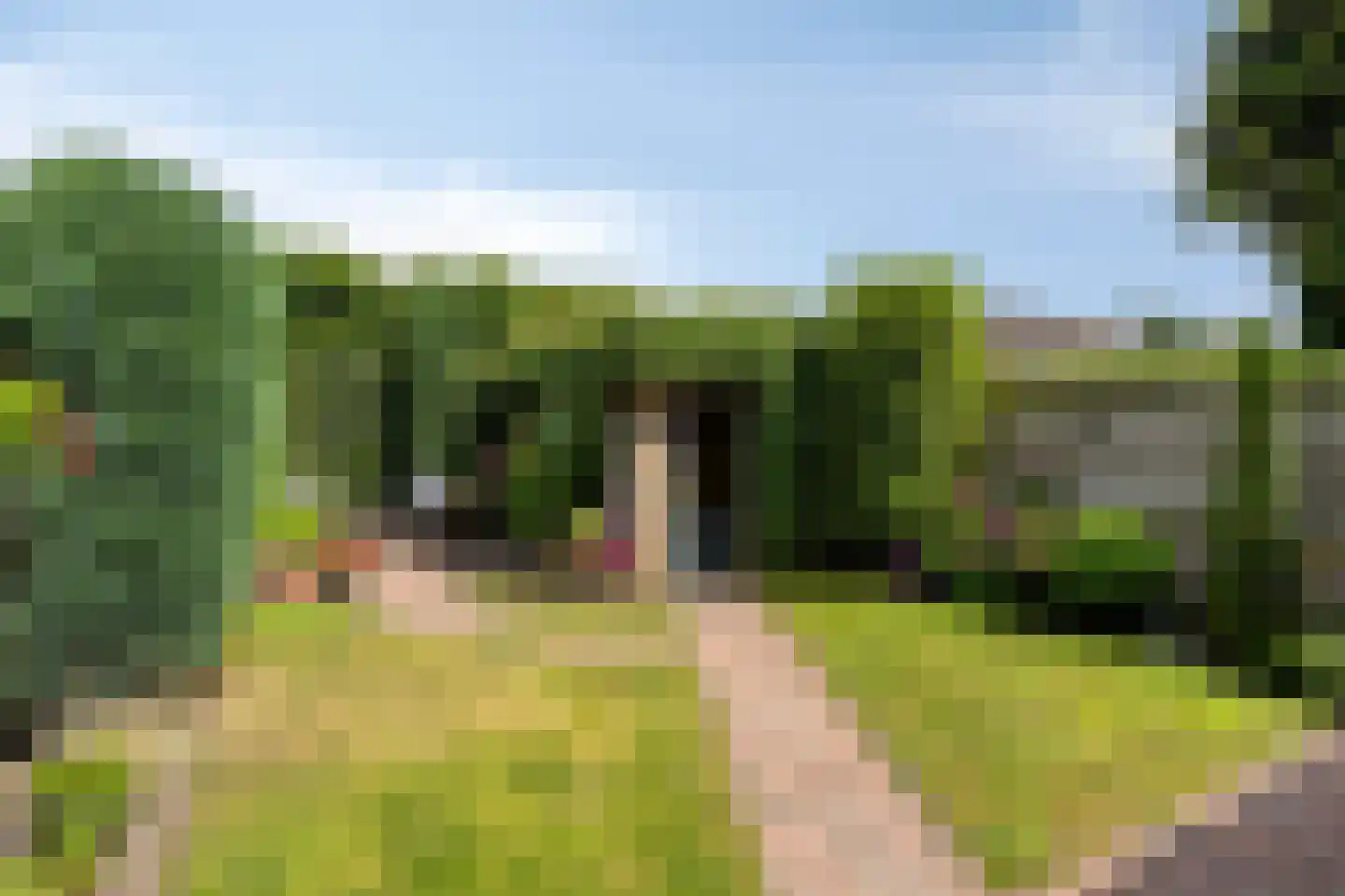 Warande 19 Valkenswaard thumbnail 22