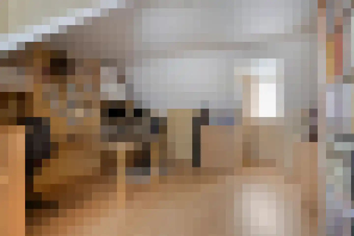 Warande 19 Valkenswaard thumbnail 36