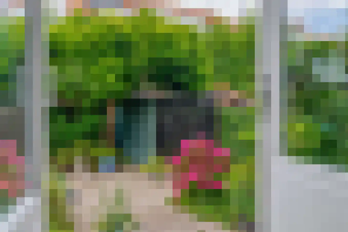 Warande 191 Schiedam thumbnail 15