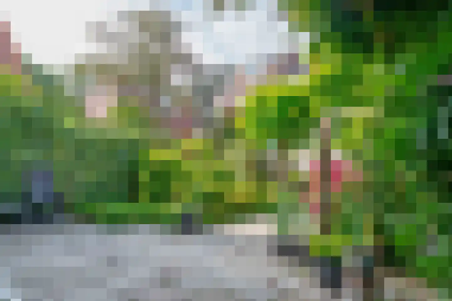 Warande 191 Schiedam thumbnail 19