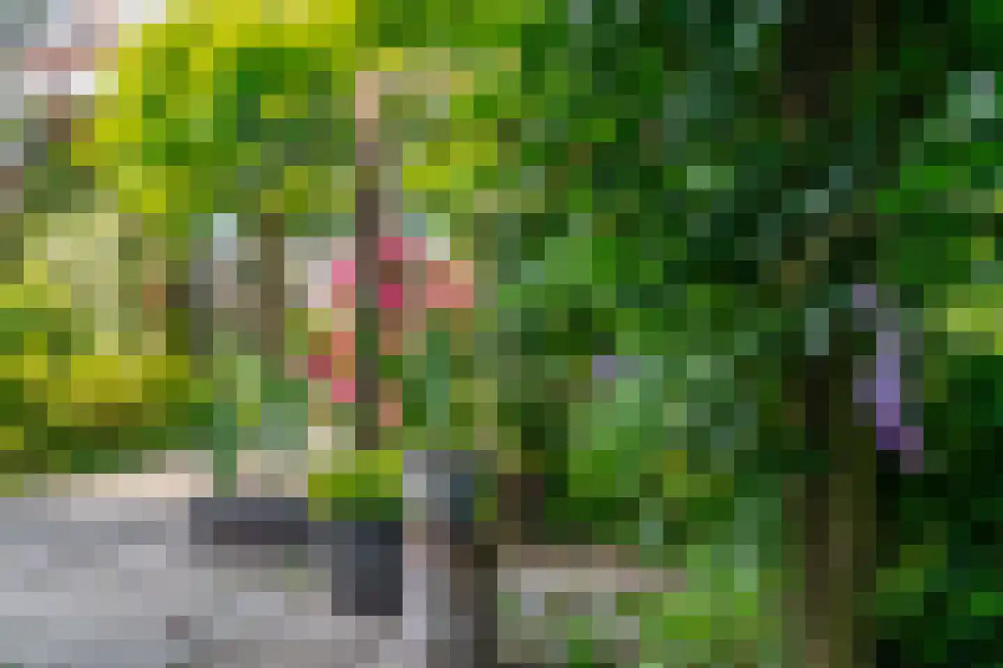 Warande 191 Schiedam thumbnail 20