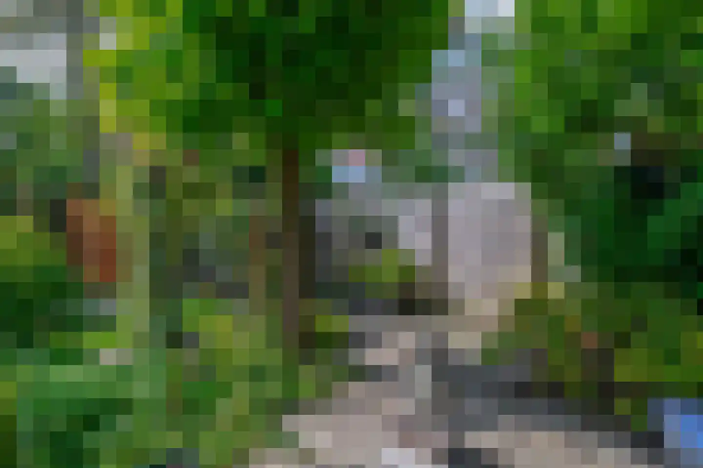 Warande 191 Schiedam thumbnail 23