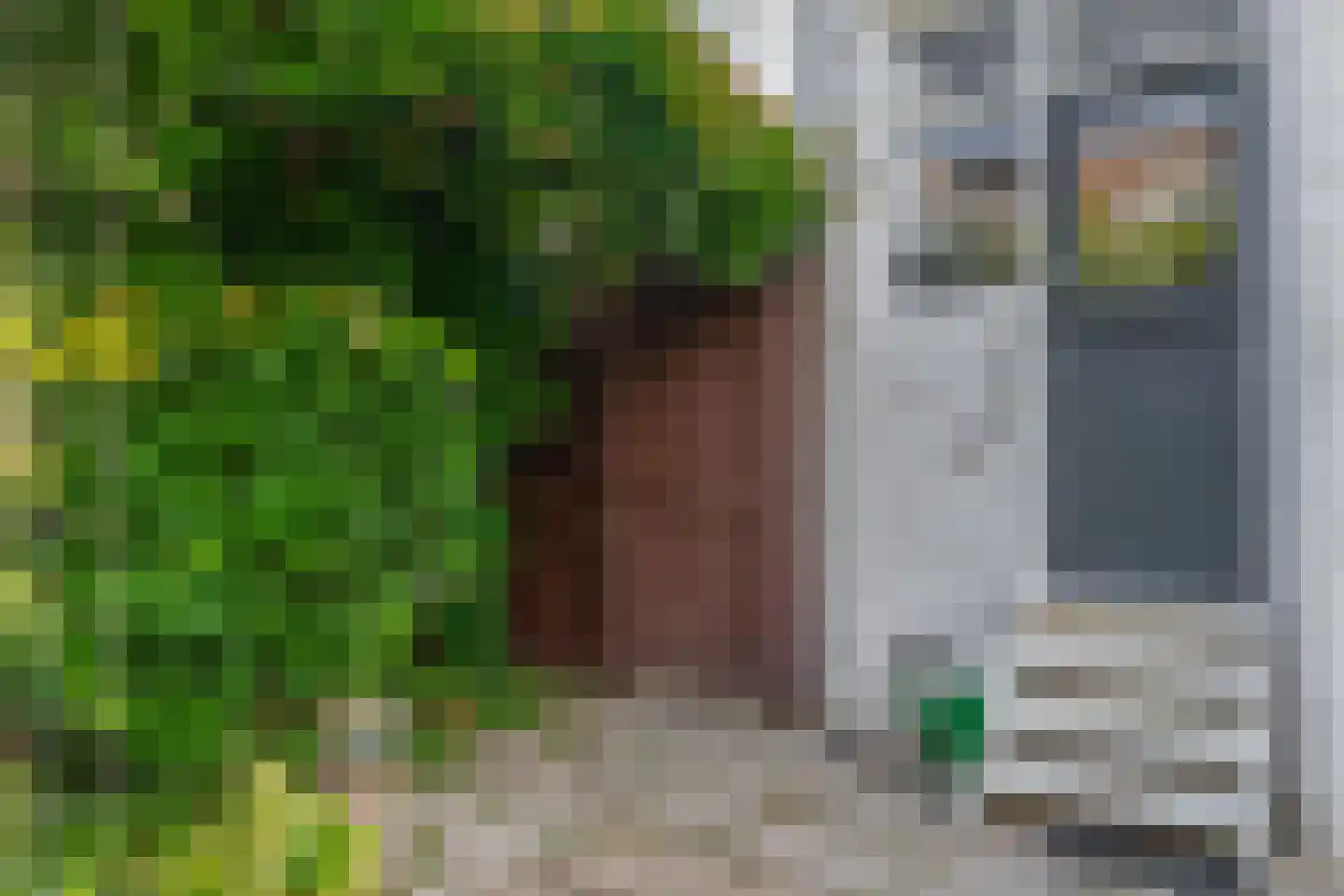 Warande 191 Schiedam thumbnail 26