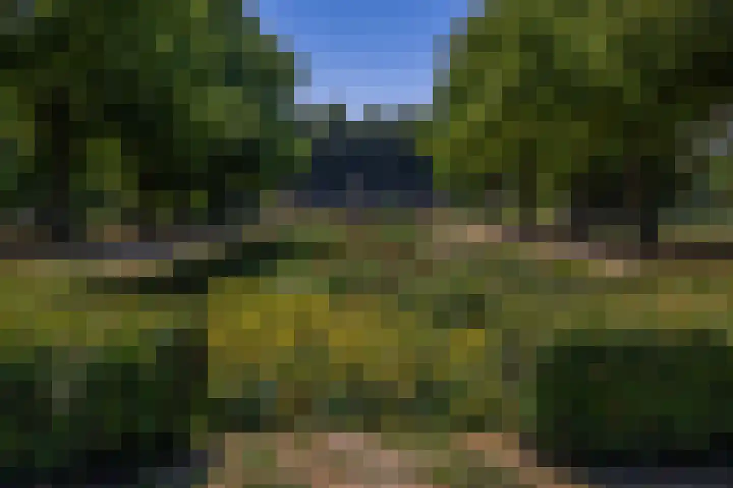 Warande 191 Schiedam thumbnail 42