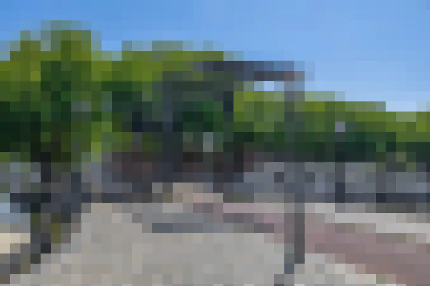 Warande 191 Schiedam thumbnail 45