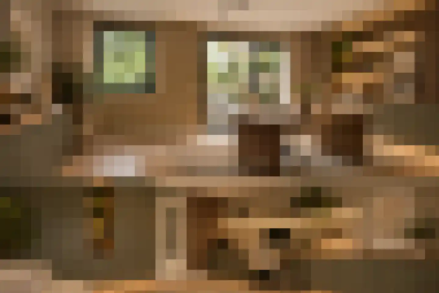 Warande 196 Schiedam thumbnail 11