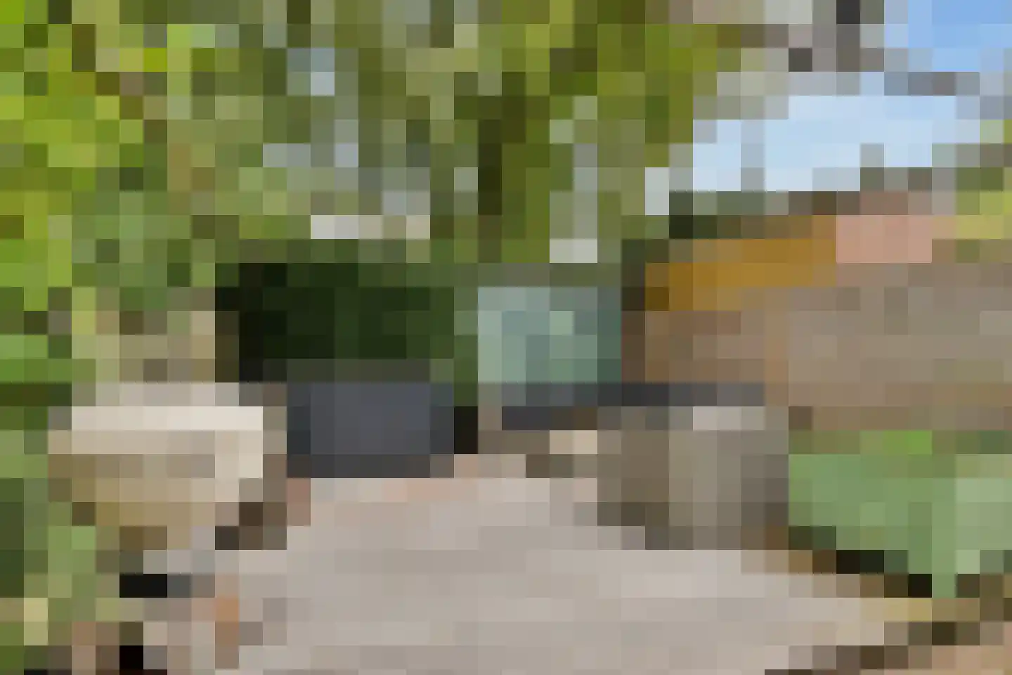 Warande 196 Schiedam thumbnail 15