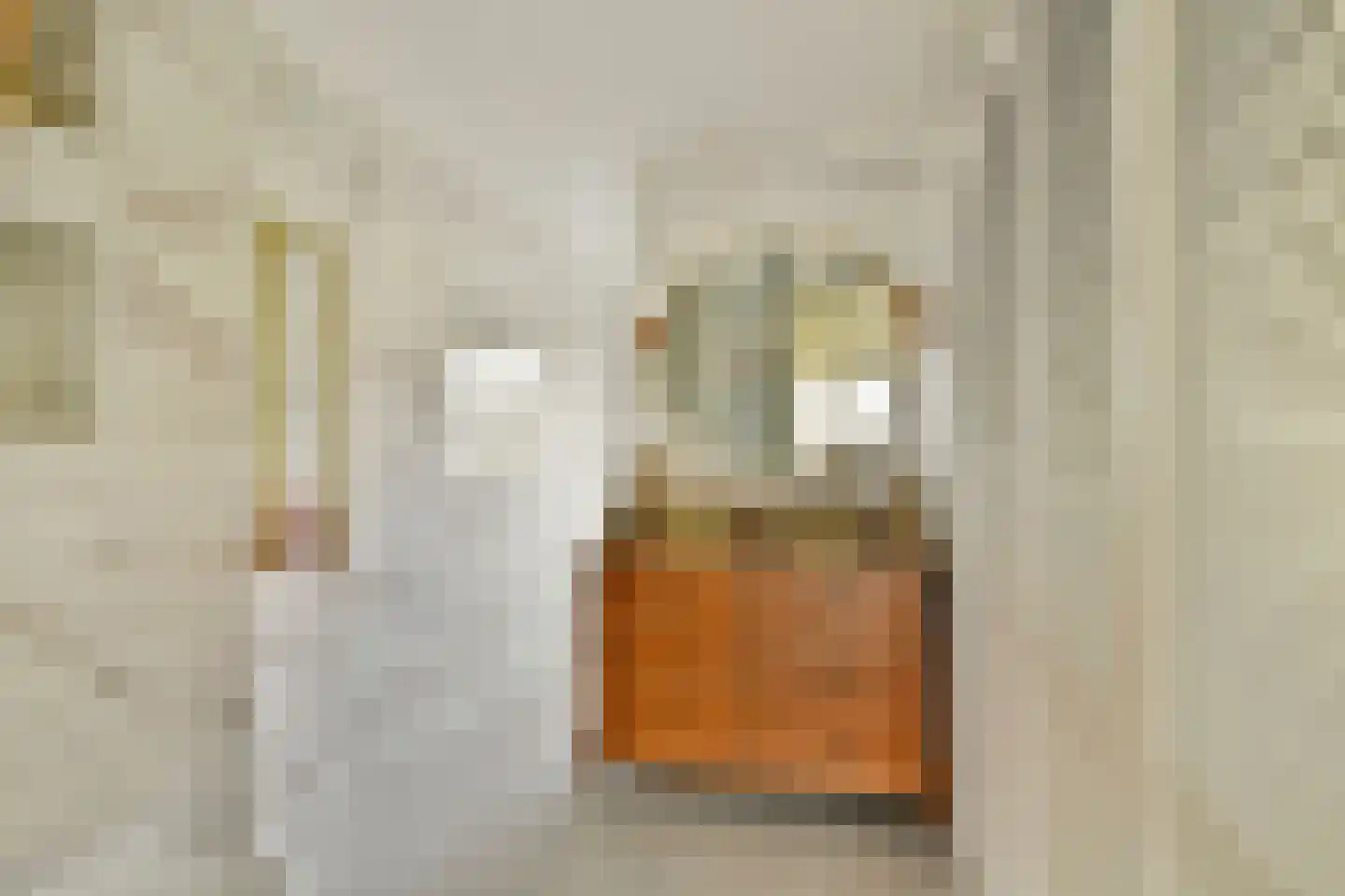 Warande 196 Schiedam thumbnail 37