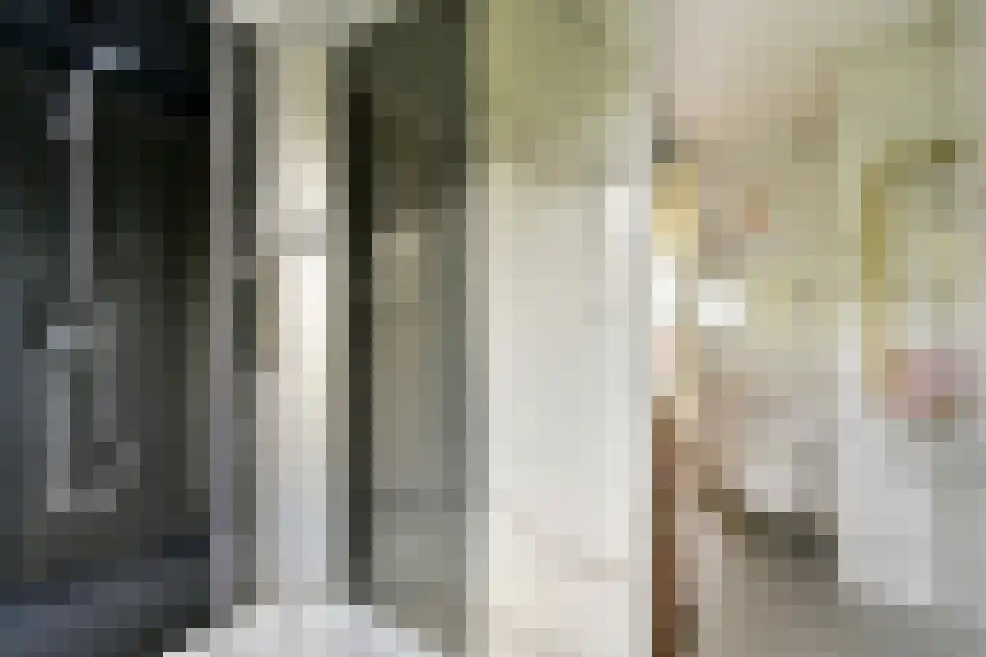 Warande 196 Schiedam thumbnail 38