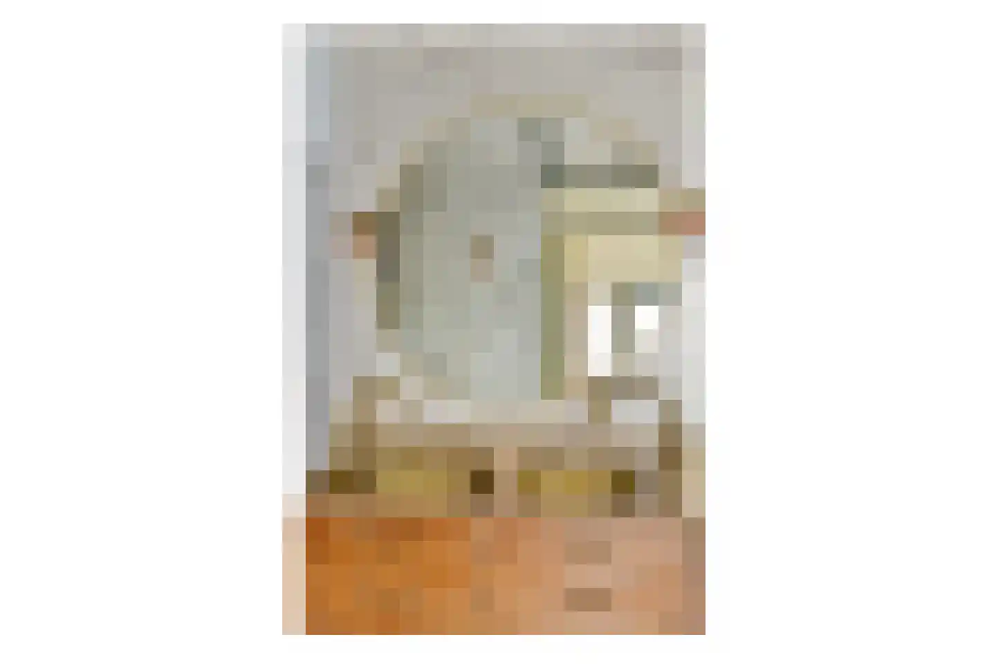 Warande 196 Schiedam thumbnail 39