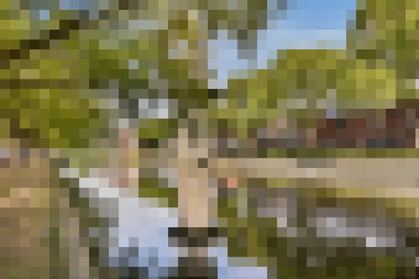Warande 196 Schiedam thumbnail 47