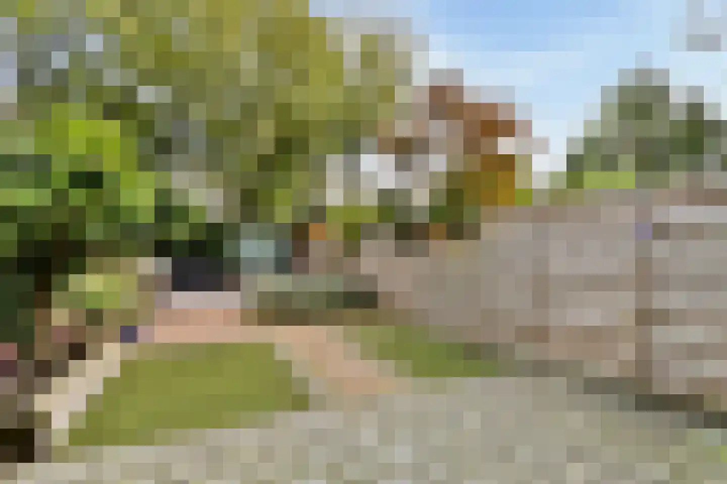 Warande 196 Schiedam thumbnail 5
