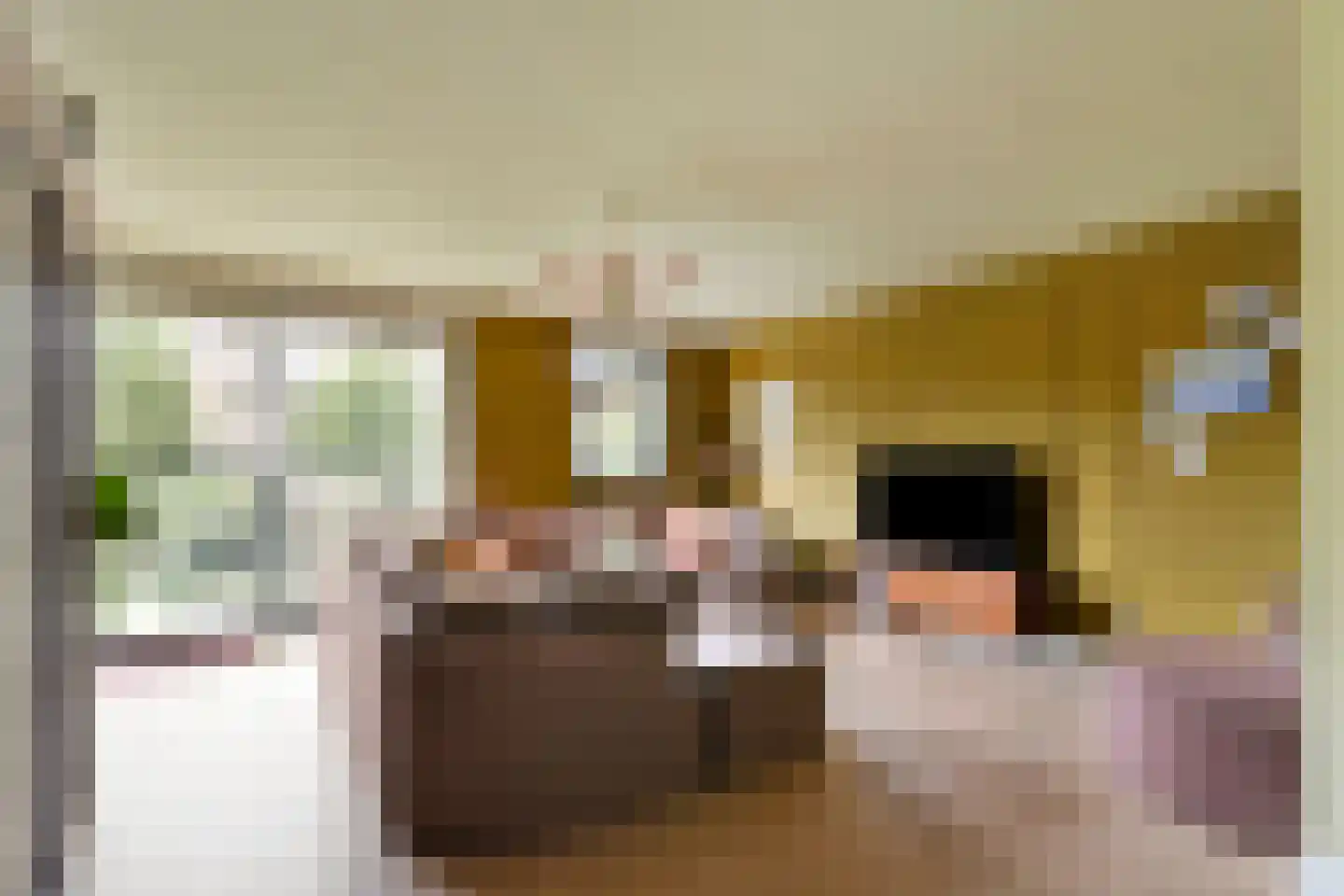 Warande 196 Schiedam thumbnail 6