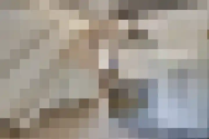 Warande 21 Eindhoven thumbnail 12