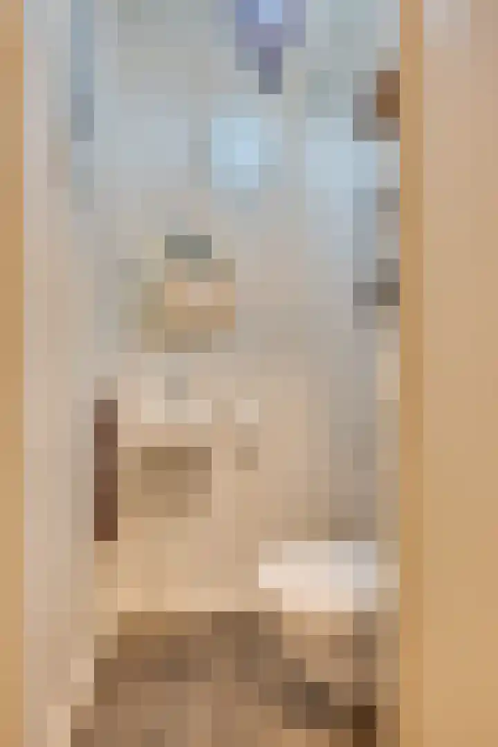 Warande 21 Eindhoven thumbnail 15