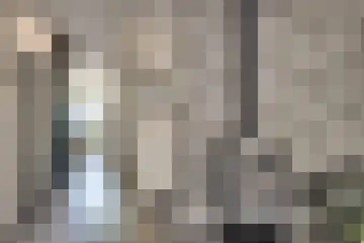 Warande 21 Eindhoven thumbnail 16