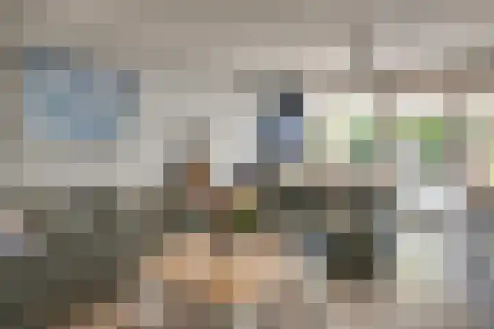 Warande 21 Eindhoven thumbnail 17