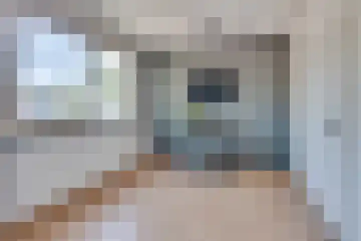 Warande 21 Eindhoven thumbnail 23
