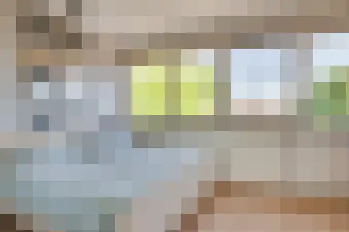 Warande 21 Eindhoven thumbnail 35