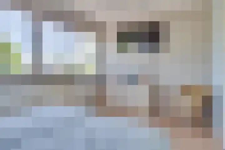 Warande 21 Eindhoven thumbnail 36