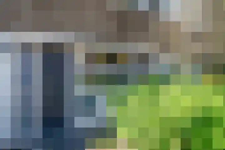 Warande 21 Eindhoven thumbnail 4
