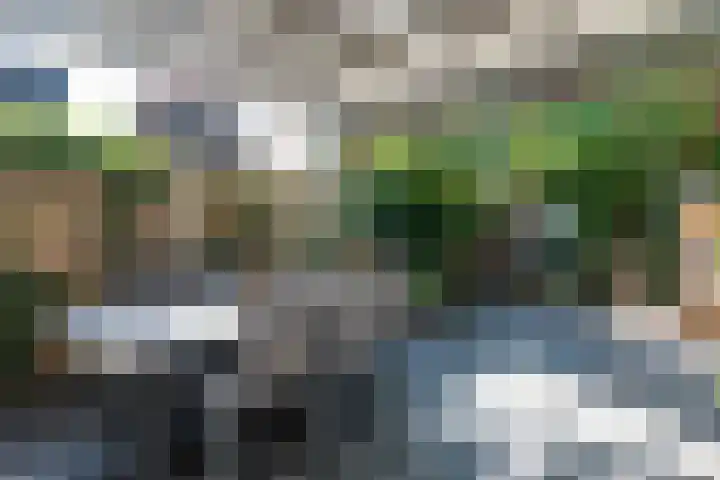 Warande 21 Eindhoven thumbnail 40