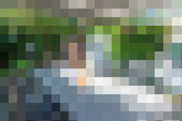 Warande 21 Eindhoven thumbnail 41