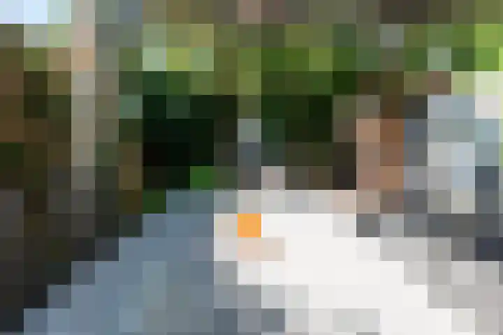 Warande 21 Eindhoven thumbnail 42