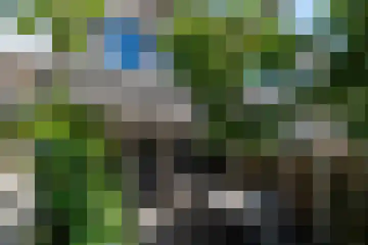 Warande 21 Eindhoven thumbnail 44