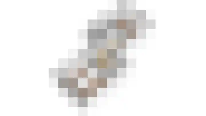 Warande 21 Eindhoven thumbnail 54