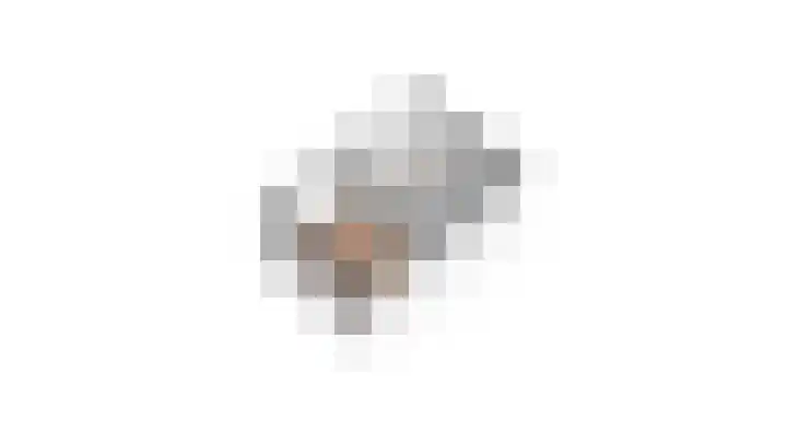 Warande 21 Eindhoven thumbnail 57