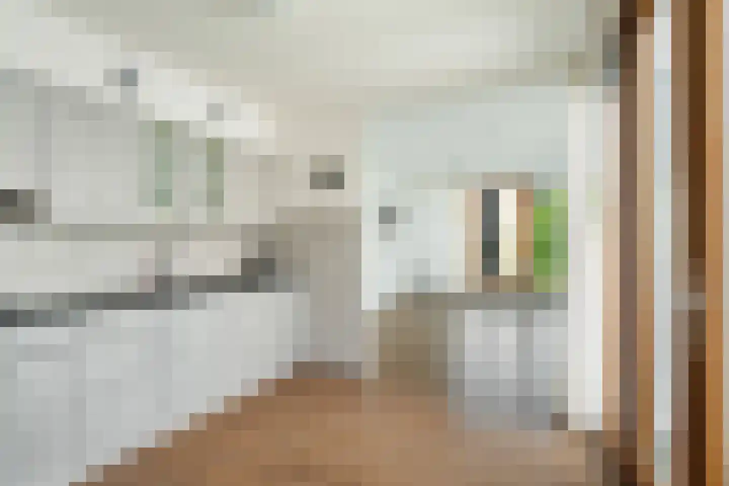 Warande 22 Zoetermeer thumbnail 17