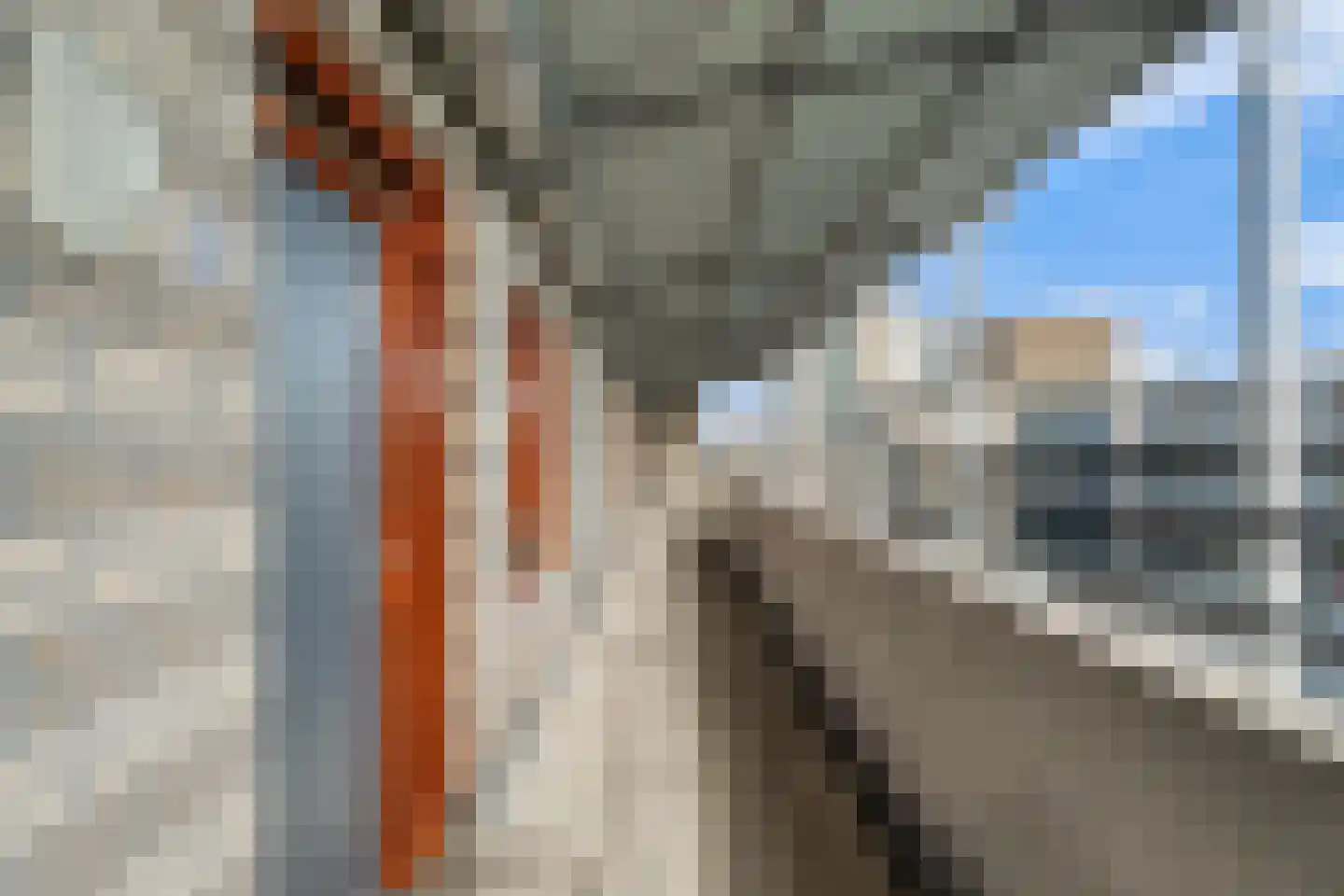Warande 22 Zoetermeer thumbnail 9