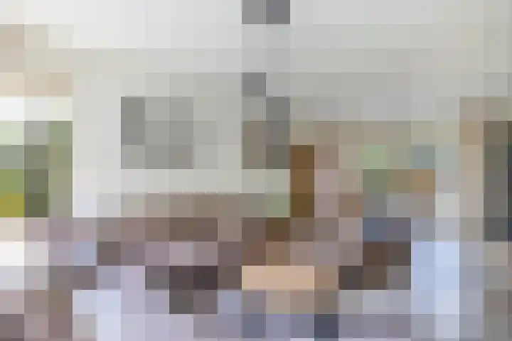 Warande 24 Marknesse thumbnail 13