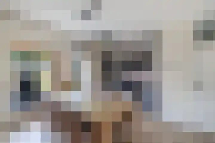 Warande 24 Marknesse thumbnail 15