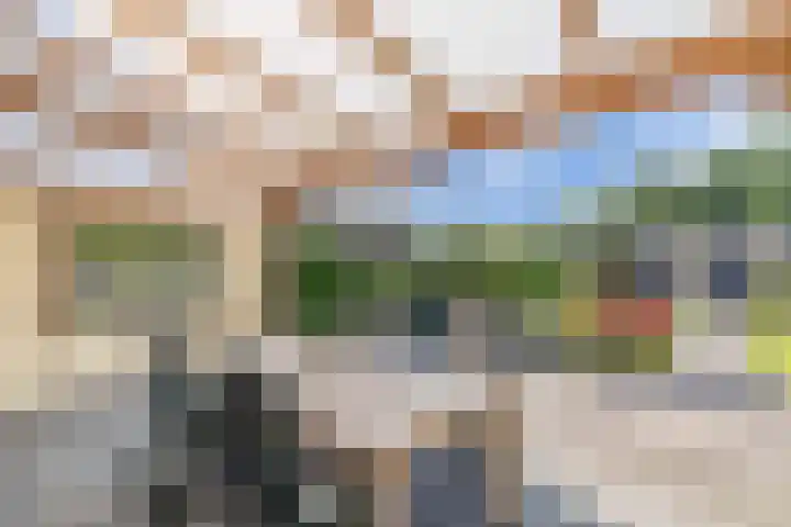 Warande 24 Marknesse thumbnail 22