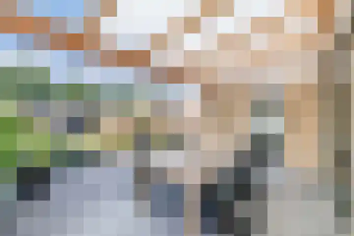 Warande 24 Marknesse thumbnail 23