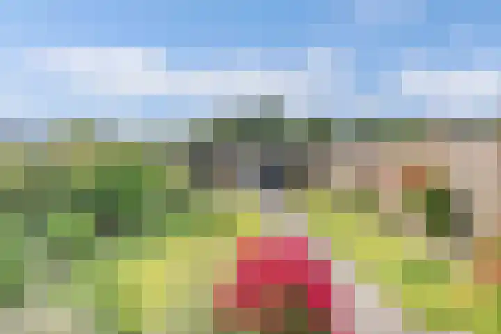 Warande 24 Marknesse thumbnail 26