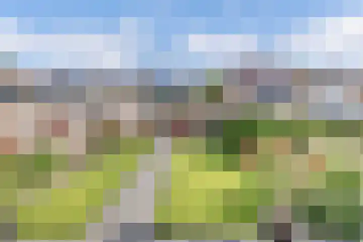 Warande 24 Marknesse thumbnail 30