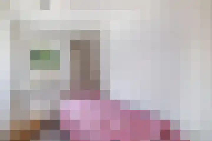 Warande 24 Marknesse thumbnail 41