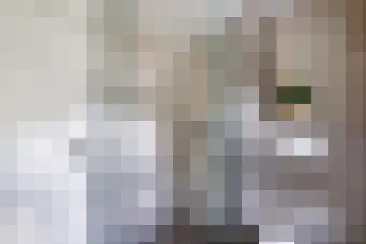 Warande 24 Marknesse thumbnail 43