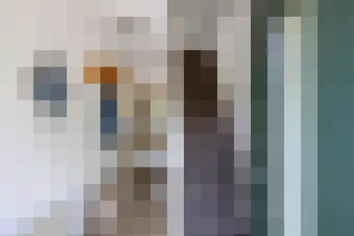 Warande 24 Marknesse thumbnail 9