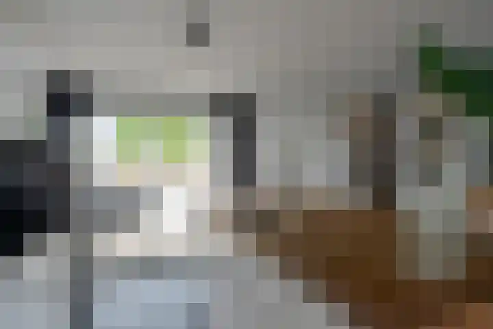 Warande 25 Callantsoog thumbnail 12
